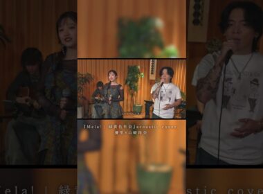 『Mela!｜緑黄色社会』 Acoustic cover. 優里 × 山﨑玲奈#shorts