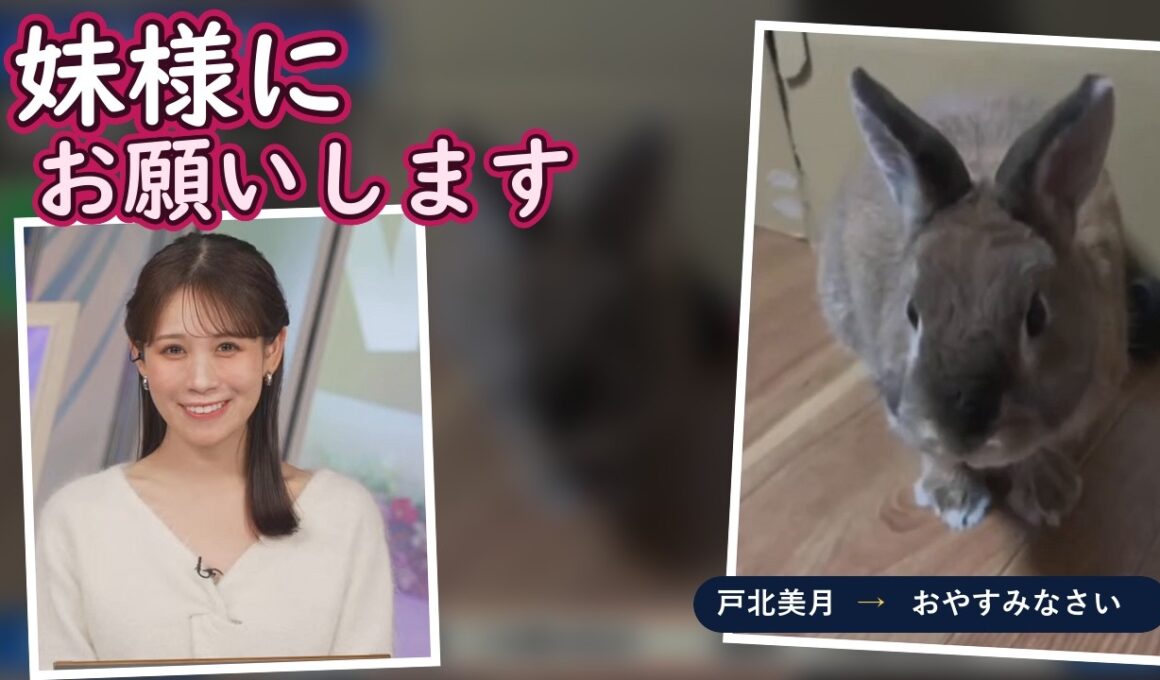 綿毛さんの世話は妹に出張で（戸北美月）｜2026/10/05 ムーン【ウェザーニュースLiVE 切り抜き】