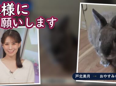綿毛さんの世話は妹に出張で（戸北美月）｜2026/10/05 ムーン【ウェザーニュースLiVE 切り抜き】