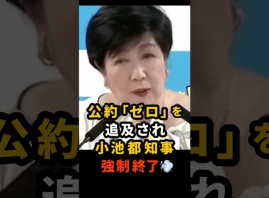 🔥40万再生!! 公約「7つのゼロ」達成度を激詰めされた小池都知事、まさかの会見強制終了→逃亡w #小池百合子