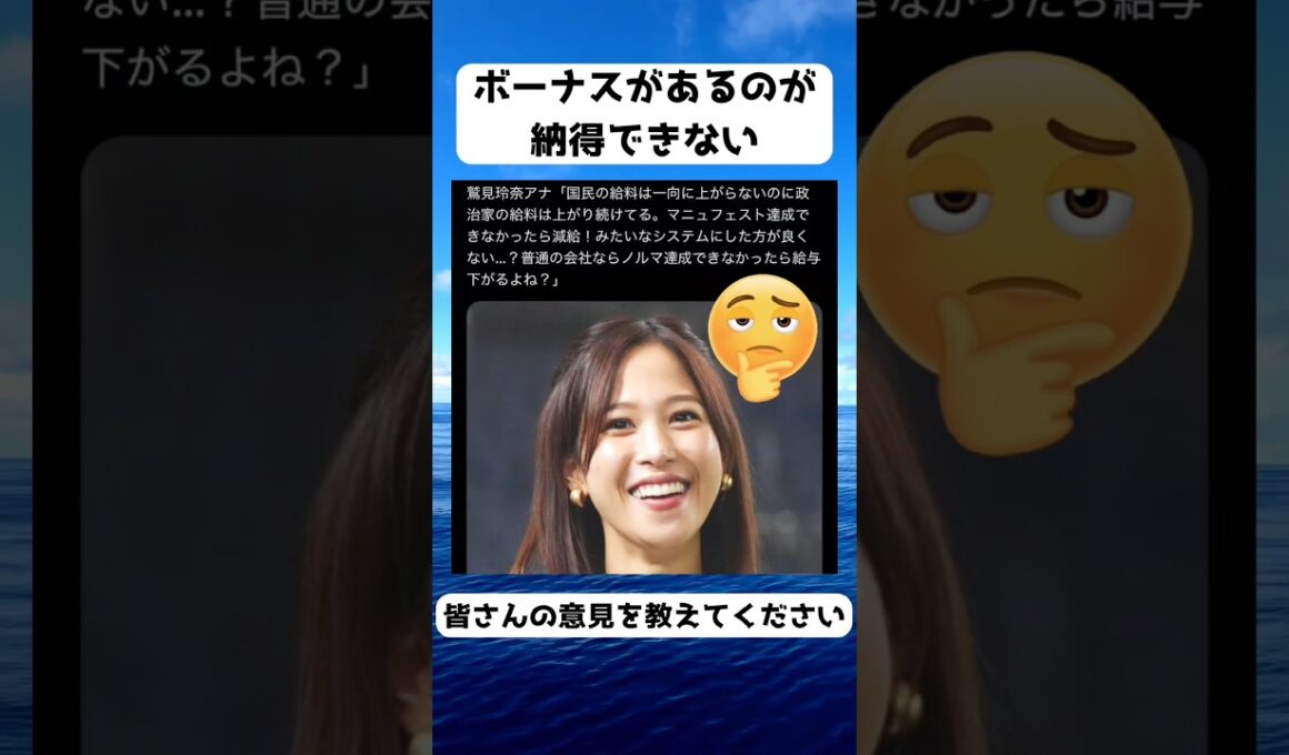 #鷲見玲奈, #政治家, #給料, #マニュフェスト, #国会