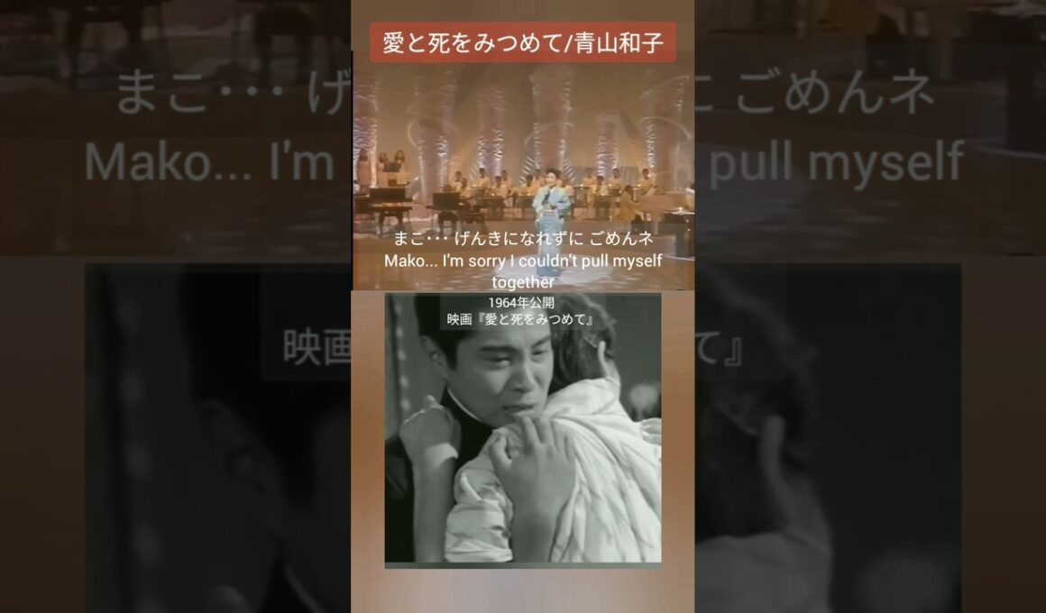 愛と死をみつめて/Gazing at Love and Death #青山和子 #吉永小百合 #映画音楽