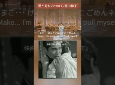 愛と死をみつめて/Gazing at Love and Death #青山和子 #吉永小百合 #映画音楽
