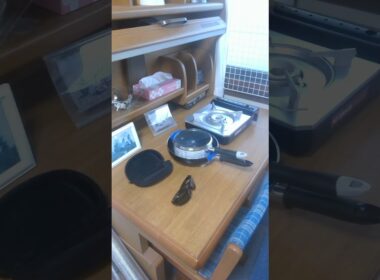 WIN 20261012 17 36 25 Pro今日のコッコNo.19(その4、佐賀の良子ちゃんを見習い絶対にやくざにならないコッコだけを可愛がる事に決めました。シャクレにも買い手はつきますか？）
