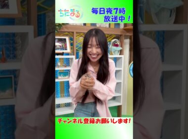日比麻夕乃☆ちたまる選手権（2026年5月 #4）