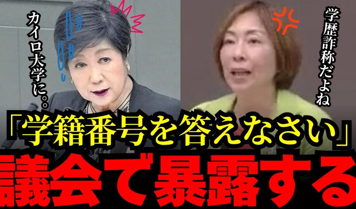 【小池百合子】学籍番号は何番なの？？小池都知事、都議会で詰められる‼︎!!?
