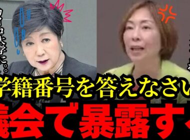 【小池百合子】学籍番号は何番なの？？小池都知事、都議会で詰められる‼︎!!?