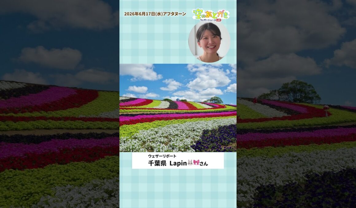 【空のあとがき】駒木キャスターが気になったリポートは？6月17日 #通勤タイパ #駒木結衣