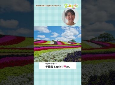 【空のあとがき】駒木キャスターが気になったリポートは？6月17日 #通勤タイパ #駒木結衣