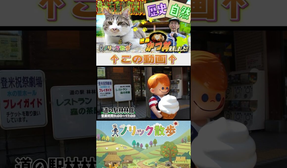 【道の駅林林館】地元の木材を使ったおしゃれな道の駅 #登米市 #登米ラボ #観光