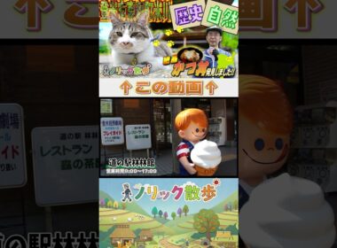 【道の駅林林館】地元の木材を使ったおしゃれな道の駅 #登米市 #登米ラボ #観光