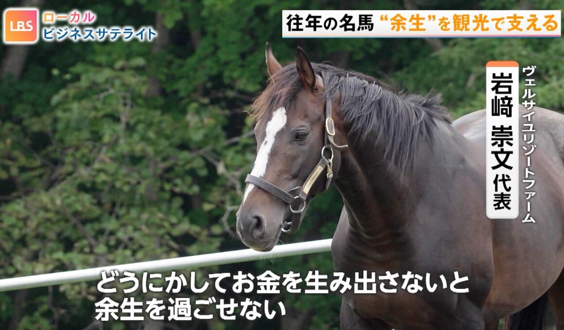 名馬と宿泊！一日城主！“地域の宝”を観光資源にして経済を活性化【LBS ローカルビジネスサテライト】