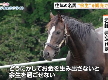 名馬と宿泊！一日城主！“地域の宝”を観光資源にして経済を活性化【LBS ローカルビジネスサテライト】