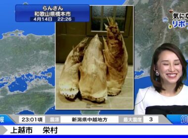 SoLiVE24 2017年4月14日（金）23000500
