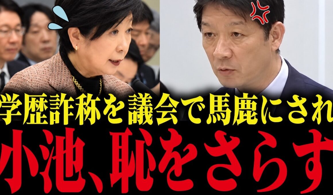 【小池百合子】小池、議会で学歴詐称を馬鹿にされ大恥をかく！「卒業したなら卒論見せて」【小池都知事 さとうさおり 都議会】