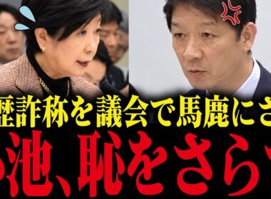 【小池百合子】小池、議会で学歴詐称を馬鹿にされ大恥をかく！「卒業したなら卒論見せて」【小池都知事 さとうさおり 都議会】
