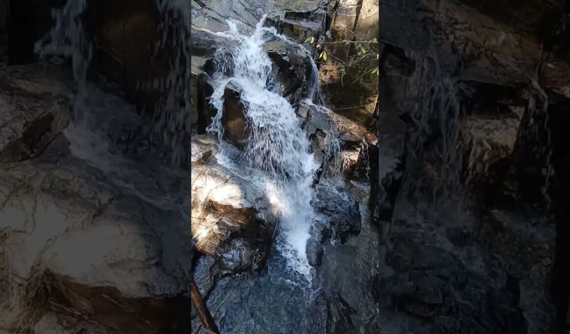 長野県　田立の滝鶴翼滝