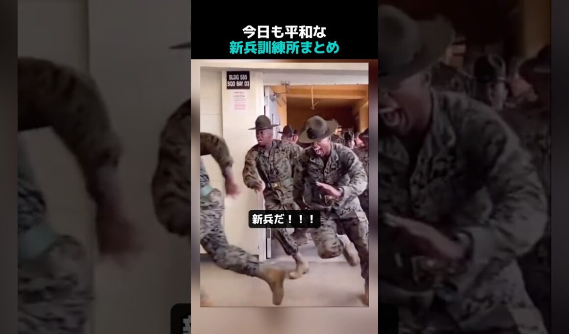 今日も平和な新兵訓練所まとめ