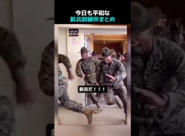 今日も平和な新兵訓練所まとめ