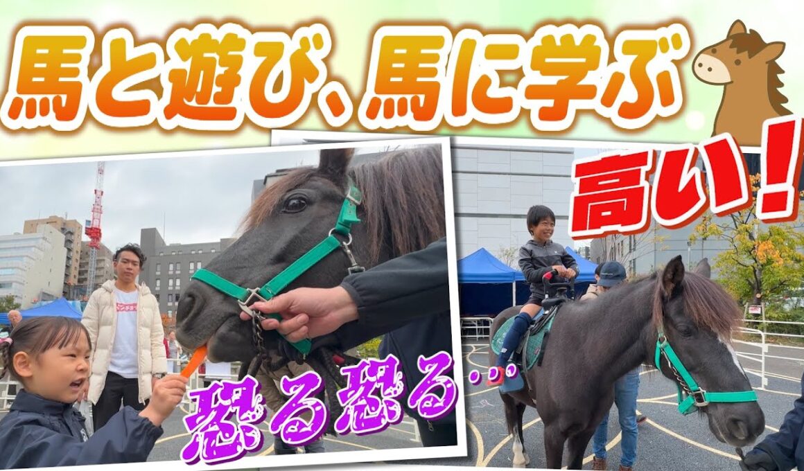 #158 馬と遊び、馬と学ぶ