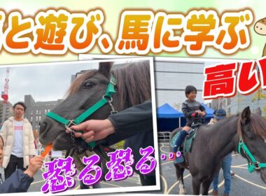 #158 馬と遊び、馬と学ぶ