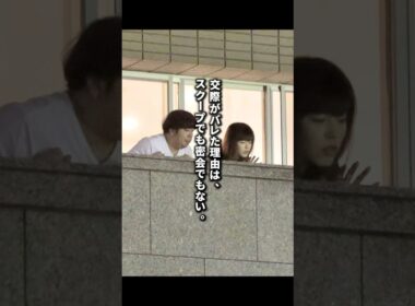 日村勇紀と神田愛花の熱愛がバレた理由 #日村勇紀 #神田愛花 #熱愛 #恋愛 #芸能界