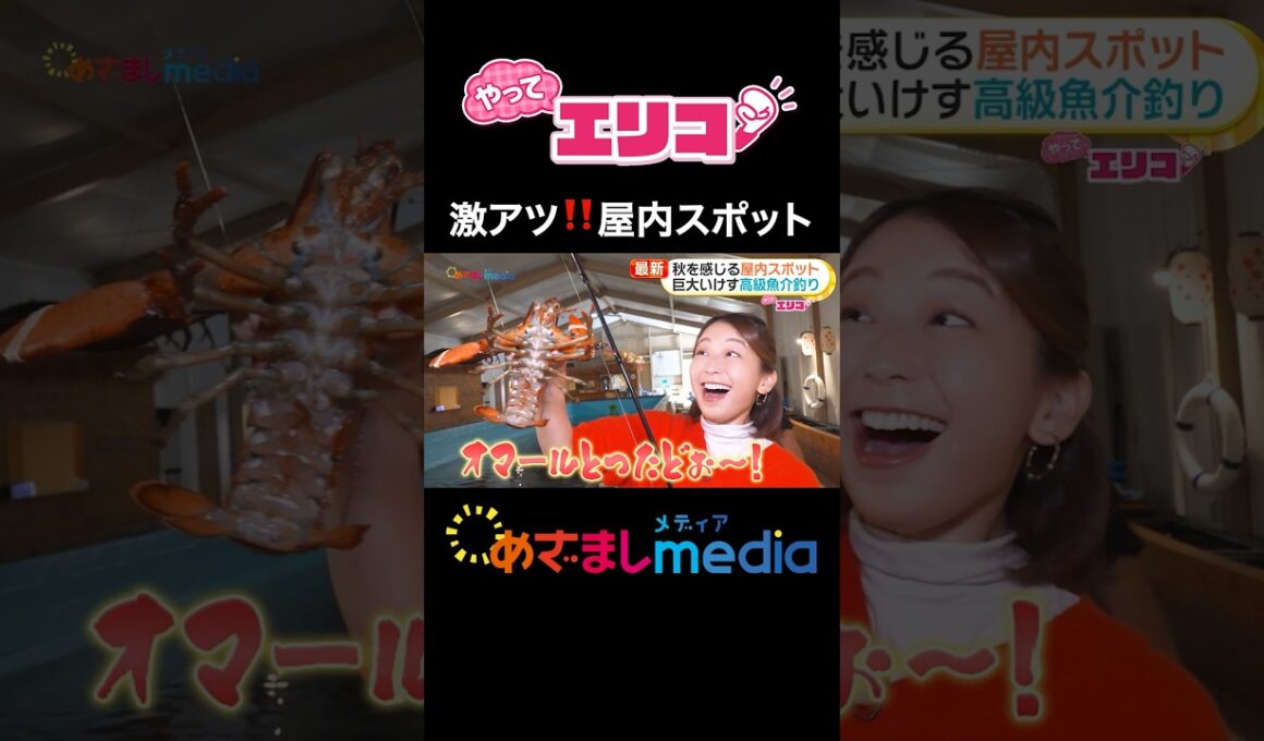 #小室瑛莉子 アナが秋を感じる屋内スポットを体験リポート！メイキング・オブ・ハリー・ポッター、THE ROBOT PARK ODAIBA #めざましテレビ #やってエリコ！