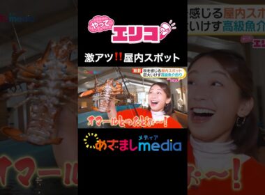 #小室瑛莉子 アナが秋を感じる屋内スポットを体験リポート！メイキング・オブ・ハリー・ポッター、THE ROBOT PARK ODAIBA #めざましテレビ #やってエリコ！