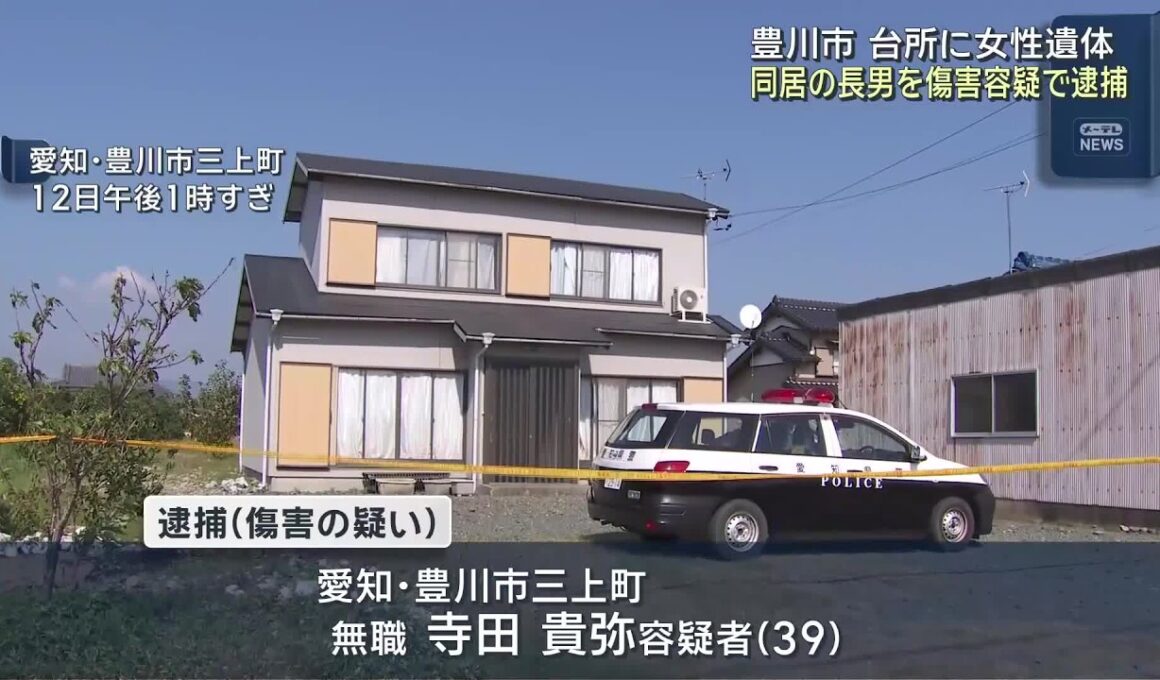 住宅の台所に女性の遺体　同居の息子を逮捕　顔を殴りけがをさせた疑い　愛知県豊川市 (26/10/12 23:40)