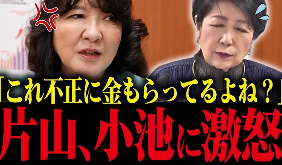 【小池百合子】片山さつきが小池都知事の利権政治を暴露！あの政策は金のためでした… 【さとうさおり 都議会 カイロ大学 学歴詐称疑惑】