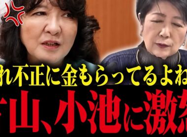 【小池百合子】片山さつきが小池都知事の利権政治を暴露！あの政策は金のためでした… 【さとうさおり 都議会 カイロ大学 学歴詐称疑惑】