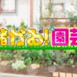 『がっちりマンデー!!』儲かる園芸! 植物が超育つ植木鉢! なぜか害虫だけに効く魔法の殺虫剤 10/25(日)【TBS】