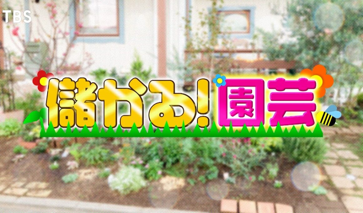 『がっちりマンデー!!』儲かる園芸! 植物が超育つ植木鉢! なぜか害虫だけに効く魔法の殺虫剤 10/25(日)【TBS】