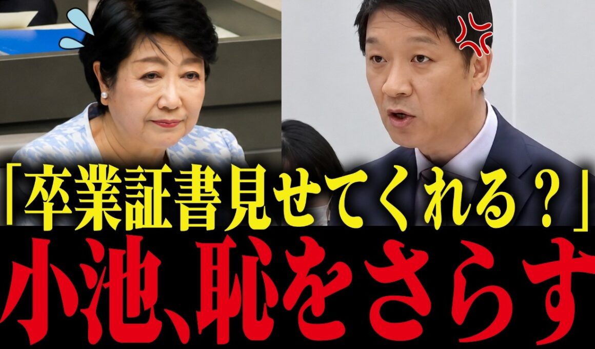 【小池百合子】学歴詐称を議会で追及されメンタル崩壊する小池都知事...【小池都知事 佐藤さおり 都議会 カイロ大学 学歴詐称疑惑】