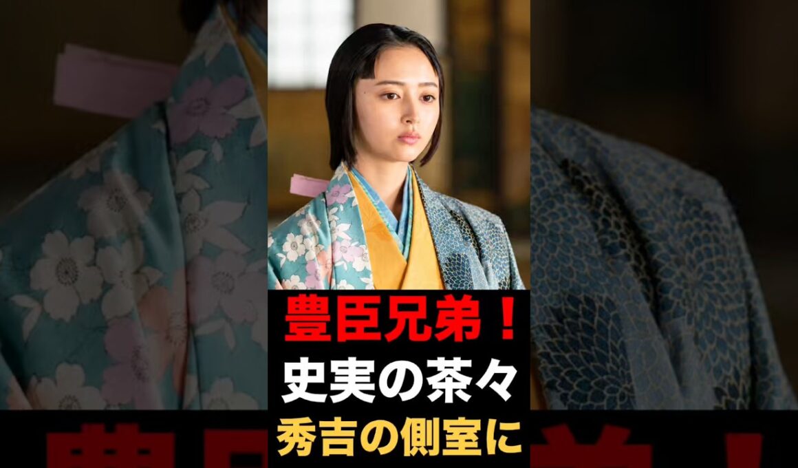 【豊臣兄弟！】史実の茶々 秀吉の側室に #大河ドラマ #豊臣兄弟 #井上和