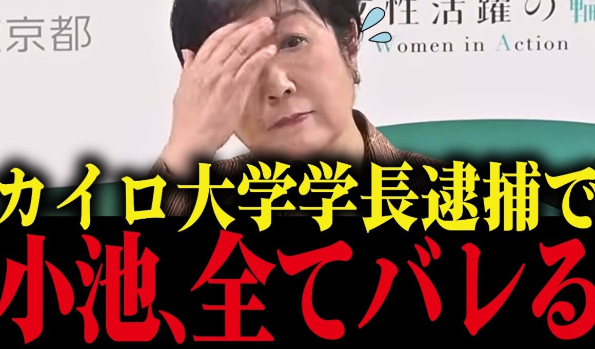 ※小池百合子、カイロ大学長逮捕で癒着が全てバレてしまうww【小池都知事 都議会 さとうさおり カイロ大学 学歴詐称疑惑】