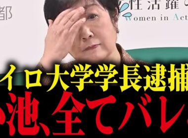 ※小池百合子、カイロ大学長逮捕で癒着が全てバレてしまうww【小池都知事 都議会 さとうさおり カイロ大学 学歴詐称疑惑】