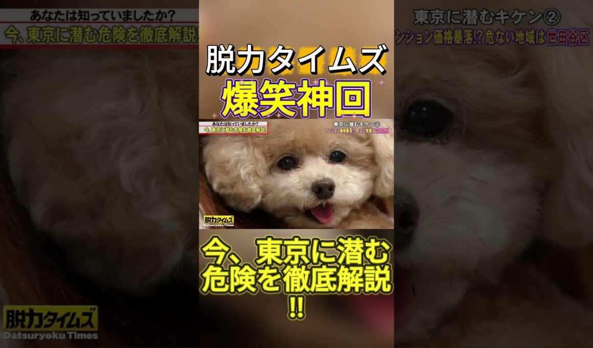 【神回】濱家隆一（かまいたち）、宮澤エマ #お笑い #爆笑