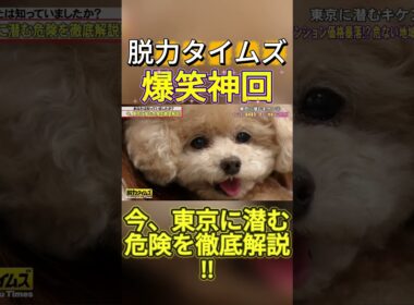 【神回】濱家隆一（かまいたち）、宮澤エマ #お笑い #爆笑