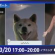 【ライブ配信終了】最新天気ニュース・地震情報 2026年10月20日(火) ／明日は強まる雨や風に注意〈ウェザーニュースLiVEイブニング・戸北美月／宇野沢達也〉