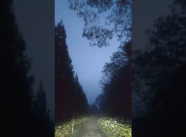 大島由香里を聞きながら　BRAND NEW MORNING ２０２６年１０月２０日