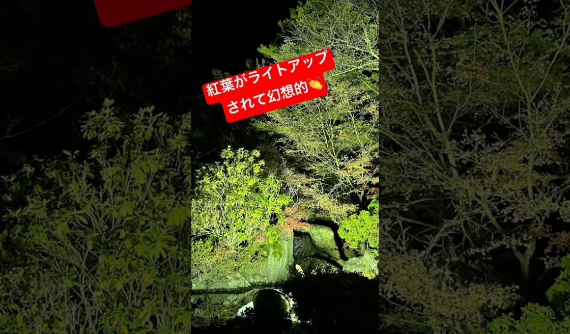 秋といえば紅葉🍁勝男ロスです笑分かる人には分かる笑#shorts #紅葉#秋