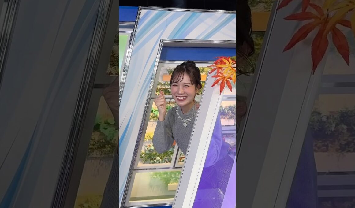 あしたもファイト！11月16日 #通勤タイパ #戸北美月 #ファイト