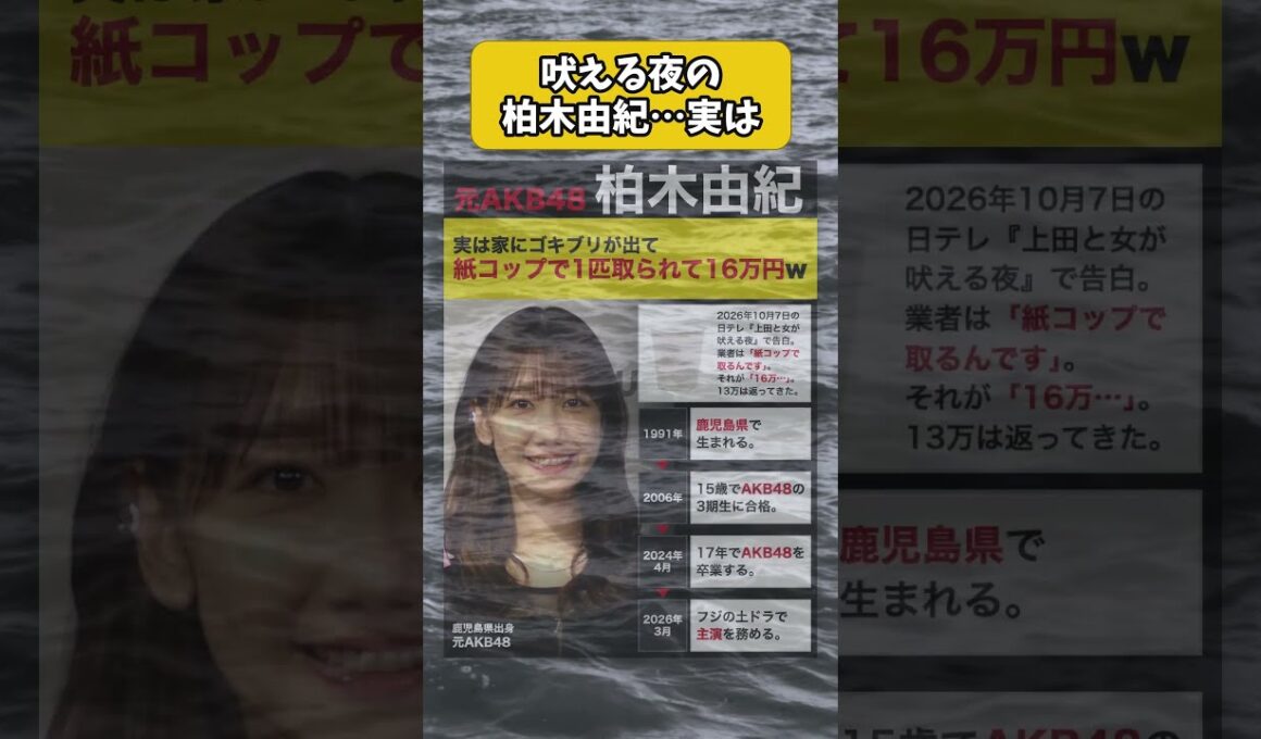 吠える夜の柏木由紀、実は家にゴキブリが出て、紙コップで1匹取られて16万円 #shorts #柏木由紀