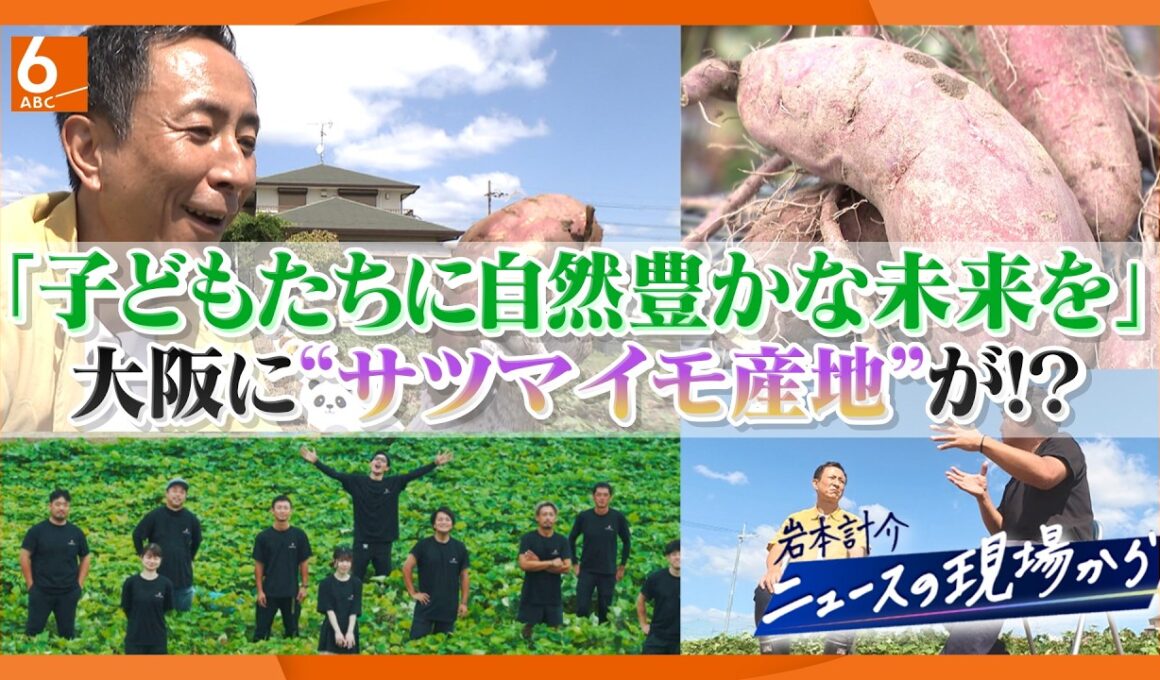 【岩本計介ニュースの現場から】“脱サラ”から大阪をサツマイモの産地に？　若手農家を徹底取材
