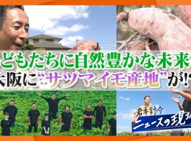 【岩本計介ニュースの現場から】“脱サラ”から大阪をサツマイモの産地に？　若手農家を徹底取材