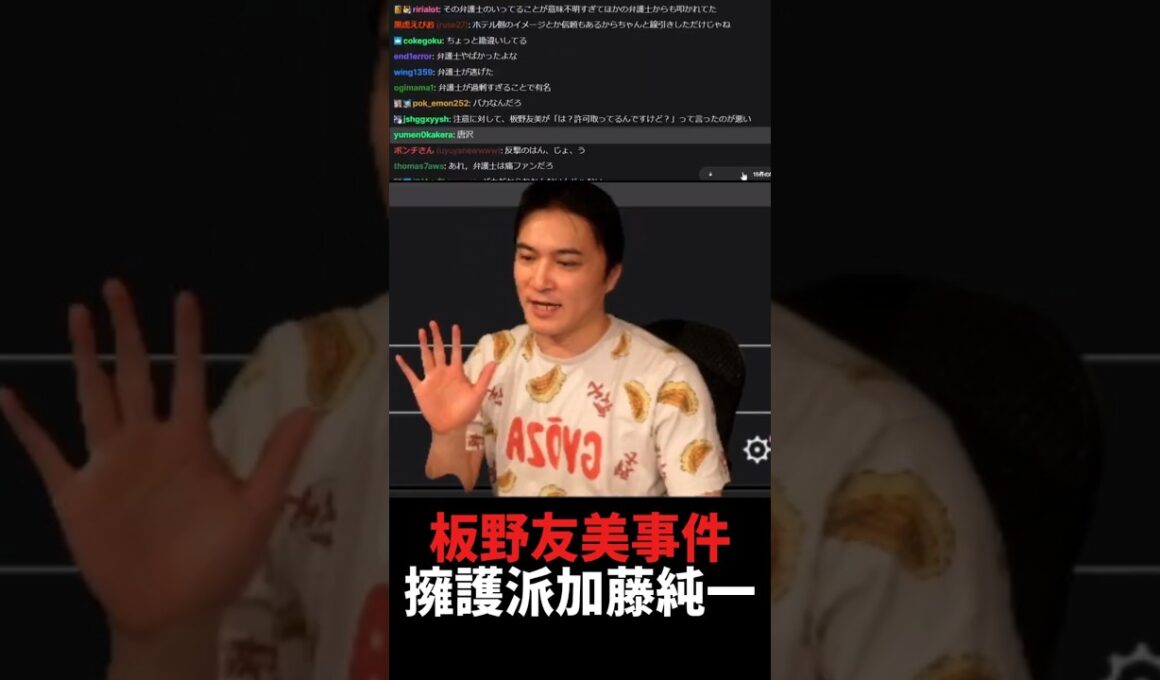 世界で唯一の板野友美擁護派