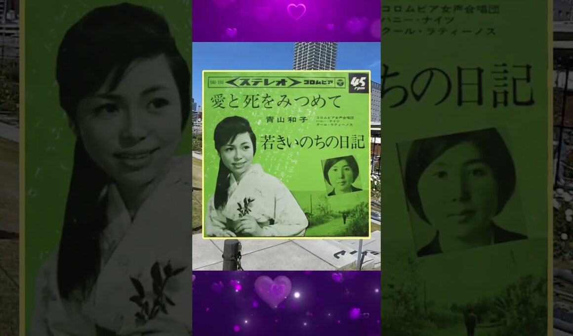 愛と死をみつめて★青山和子 ／大阪・中之島公園
