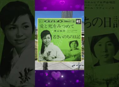 愛と死をみつめて★青山和子 ／大阪・中之島公園