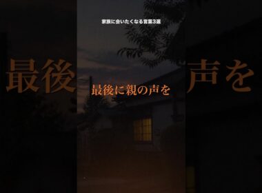 親の声をしばらく聞いていないあなたへ。家族に会いたくなる言葉3選